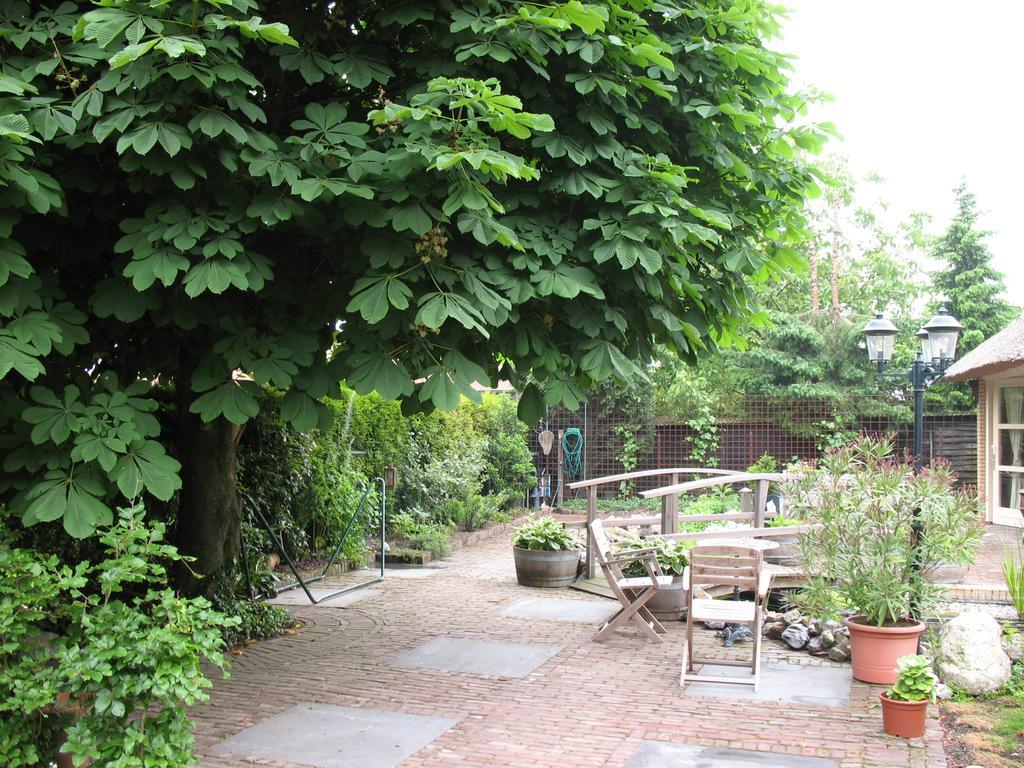 Altijd Zon Bed & Breakfast Oss Rom bilde